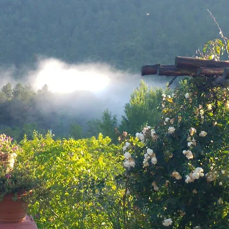 Podere Di Maggio - Glamping Tent 4