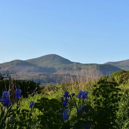 Luxury tent Podere Di Maggio - Glamping Tent 4